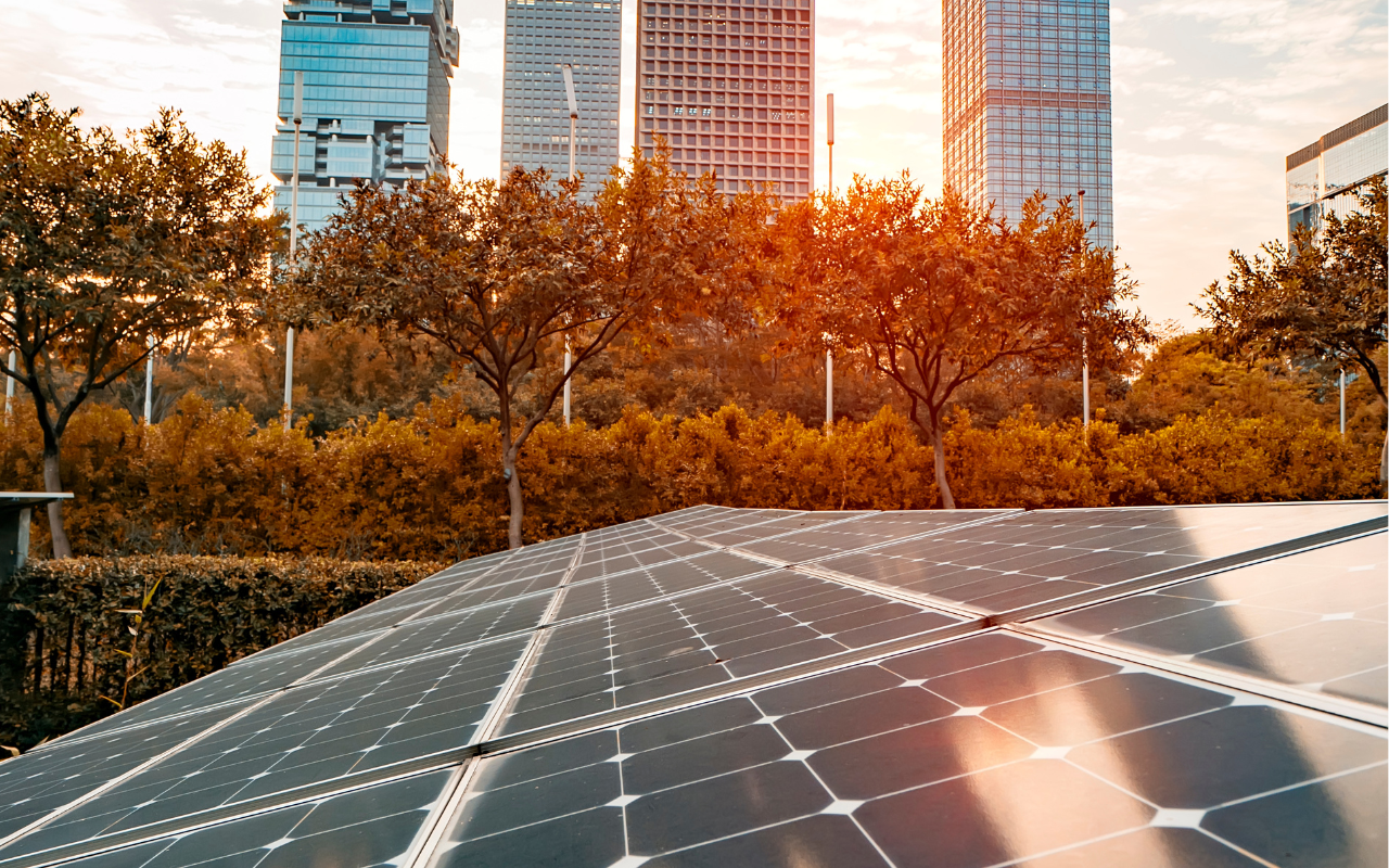 Solar panels in front of city skyline at sunset.