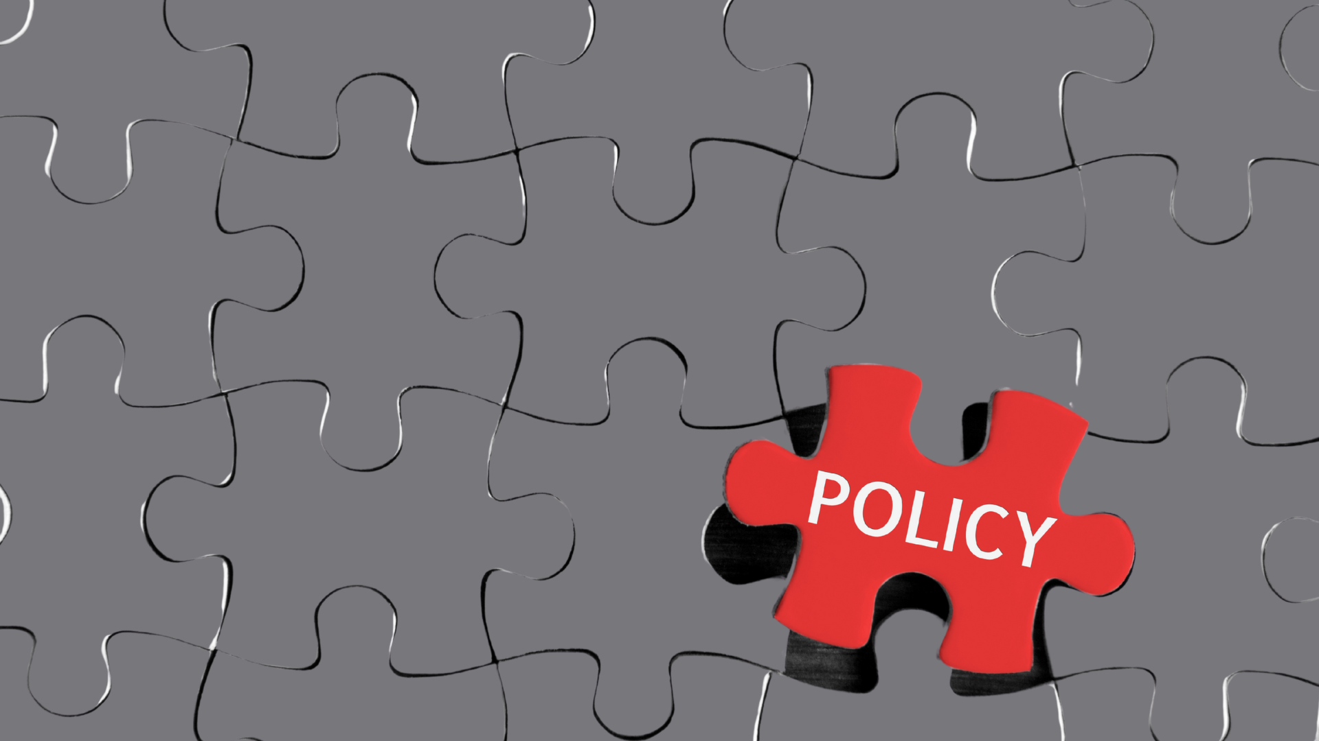 A red puzzle piece with "policy" on it amid a completed background of gray puzzle pieces